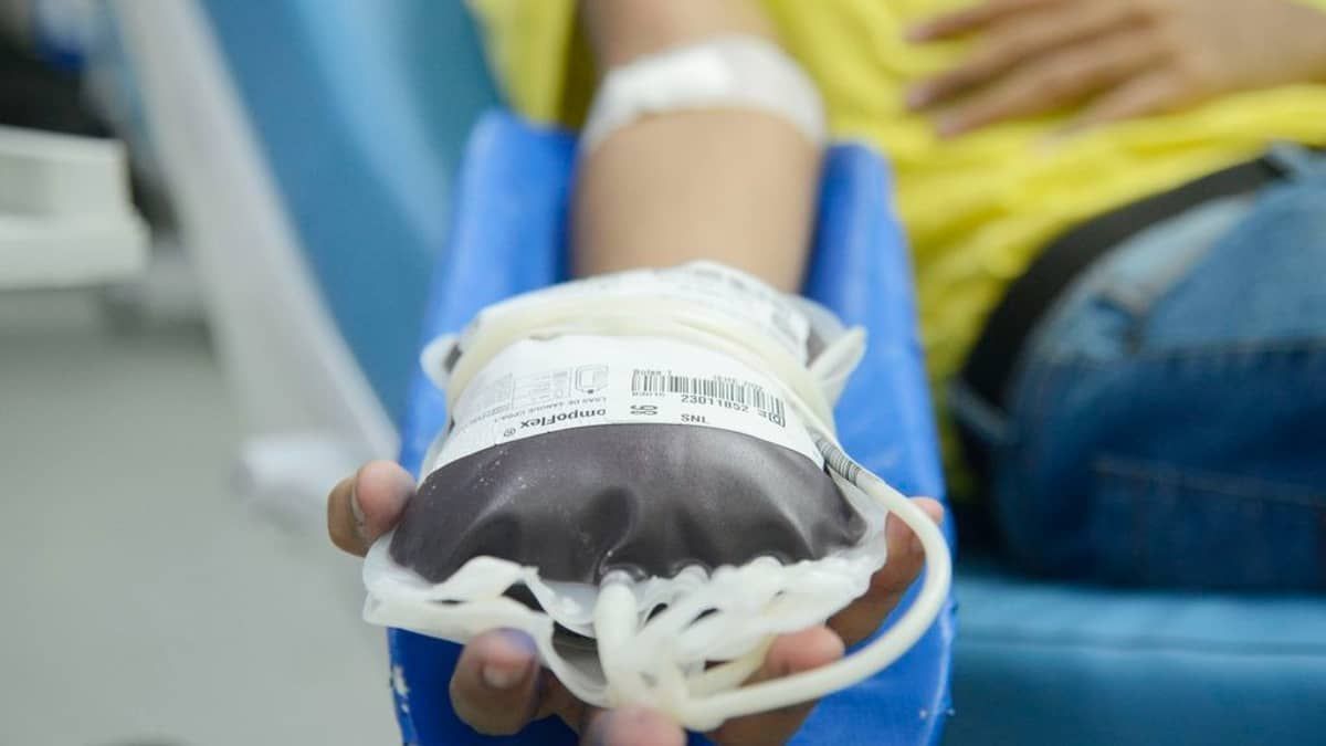 PEC do Plasma prevê venda de parte do sangue humano; projeto divide o Senado