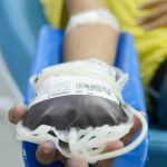 PEC do Plasma prevê venda de parte do sangue humano; projeto divide o Senado