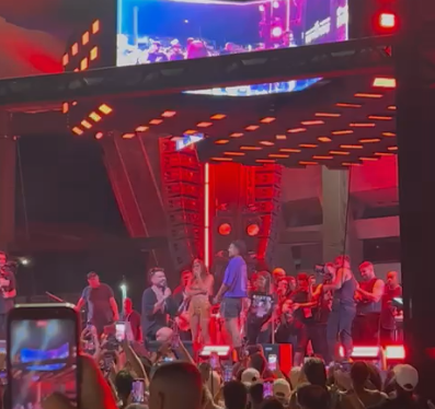 Com Anitta de 'cupido',  fã faz pedido de casamento em palco do show no Mineirão