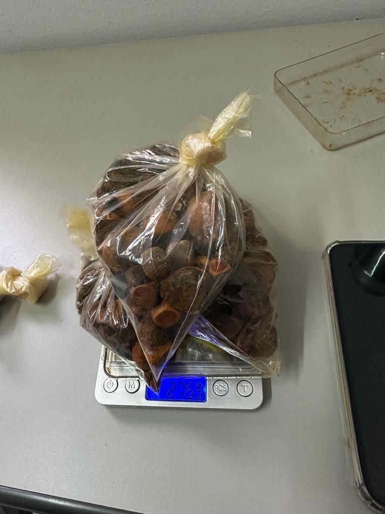 Dois homens são presos por roubo de pedras medicinais avaliadas em R$ 300 mil em SP
