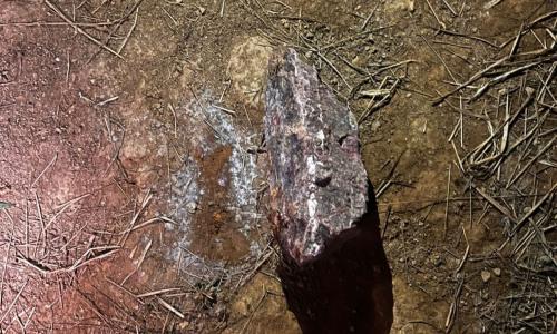 pedra foi usada para matar idoso em juiz de fora foto pcmg