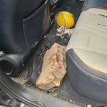 Mulher atingida por tijolo está no CTI e agradecida por pedra não ter atingido a filha