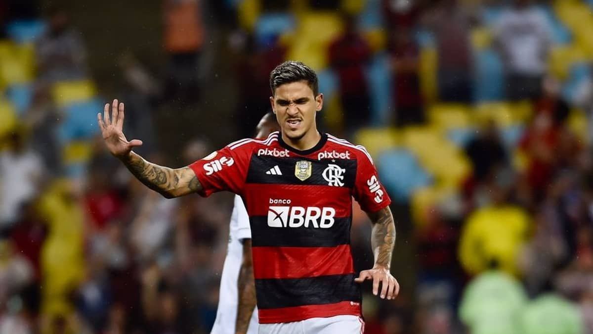 Flamengo 2 x 0 Goiás: gols e melhores momentos do jogo do Brasileirão