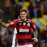 Flamengo 2 x 0 Goiás: gols e melhores momentos do jogo do Brasileirão