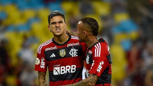 Pedro, do Flamengo, se lesionou após marcar gol contra o Goiás