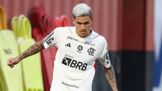 Pedro está de volta ao Ninho do Urubu