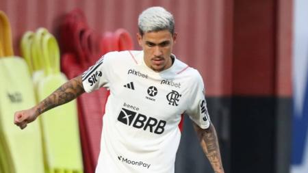 Pedro está de volta ao Ninho do Urubu