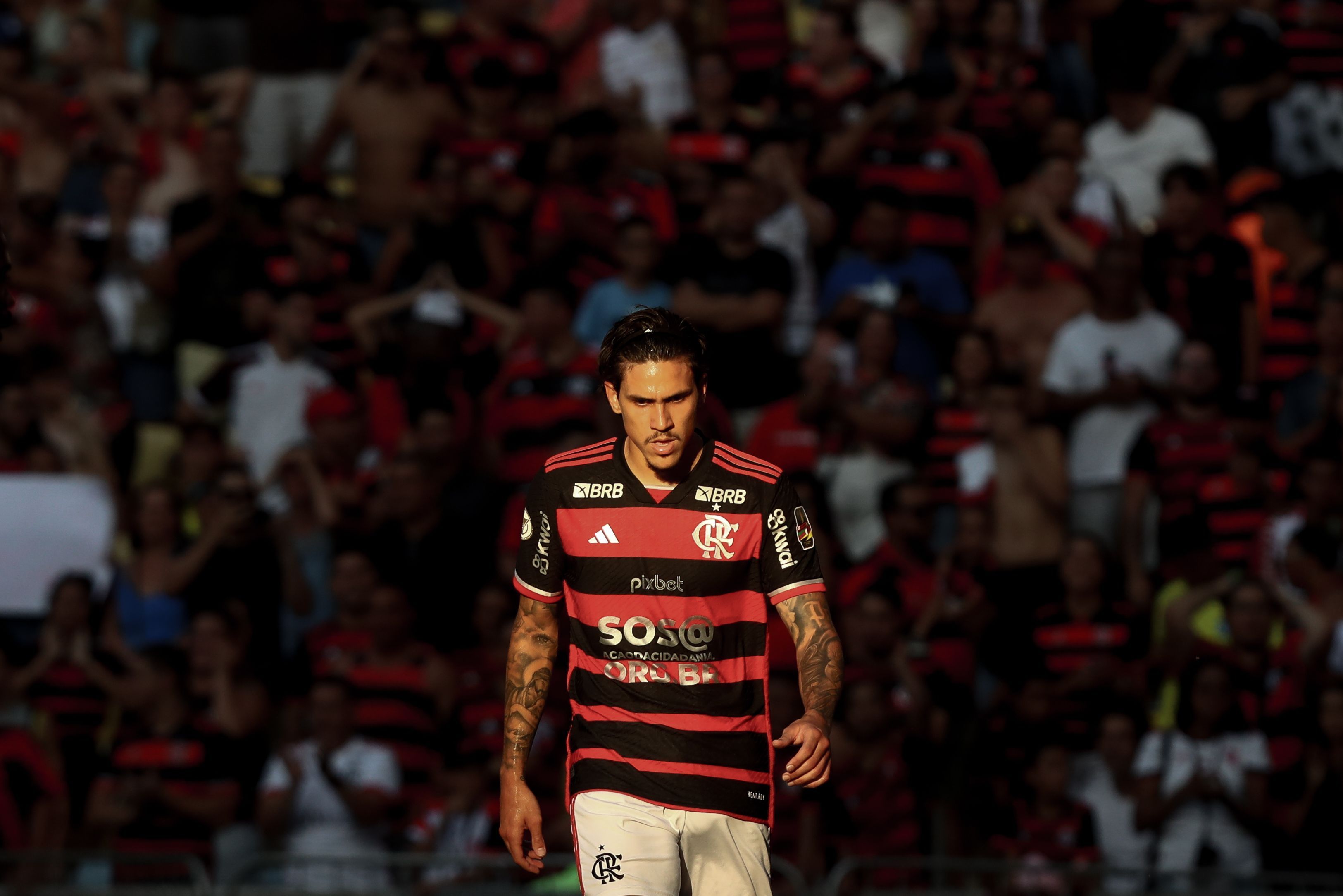 Flamengo x Bolívar: sem lesão, Pedro fica à disposição de Tite