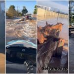 Surfistas do grupo de Pedro Scooby precisaram de bateria de exames após resgates no RS; entenda motivo