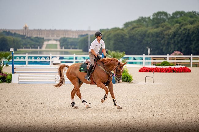 Paris 2024: brasileiro é eliminado do hipismo por sangramento do cavalo; entenda