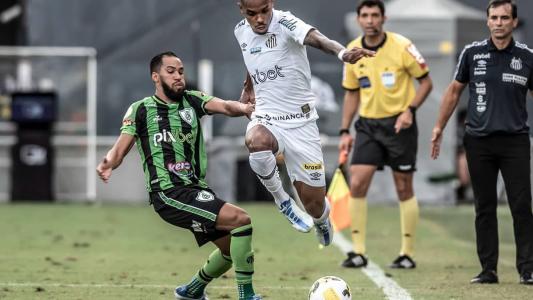 Peixe e Coelho se enfrentam neste sábado (29) na Vila Belmiro pelo Brasileirão