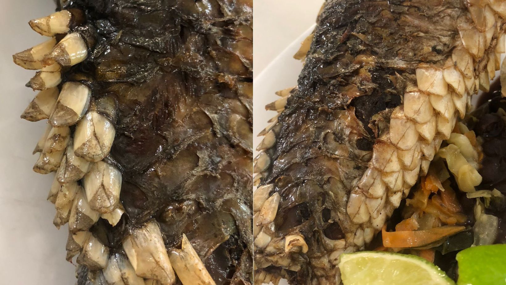 Restaurante de universidade serve comida 'estranha' e fotos viralizam: 'Teve dinossauro no RU', diz aluno