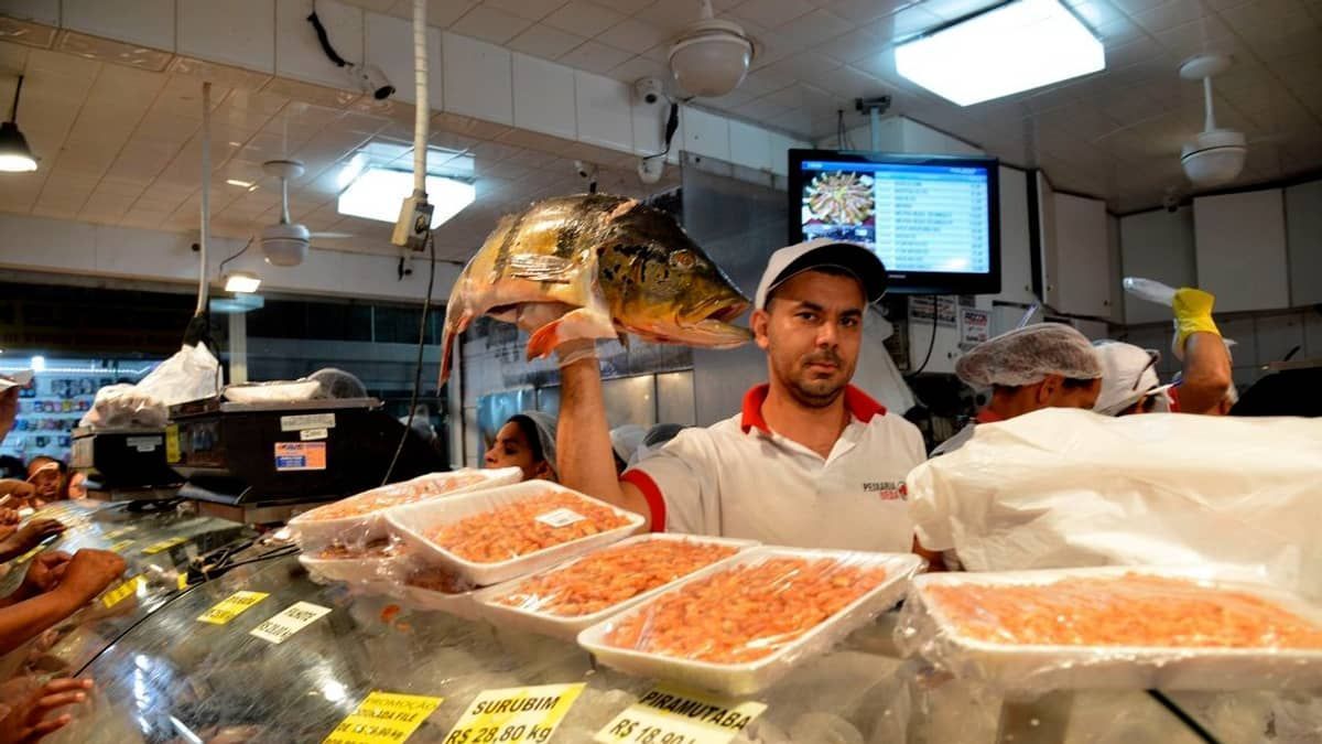 Peixes em seis estados da Amazônia apresentam contaminação por mercúrio