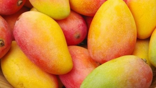 Pela segunda vez consecutiva, a manga recebeu o maior bônus do Programa de Garantia de Preços para Agricultura Familiar