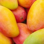 Manga tem o maior desconto no Programa de Preços do MAPA para a agricultura familiar