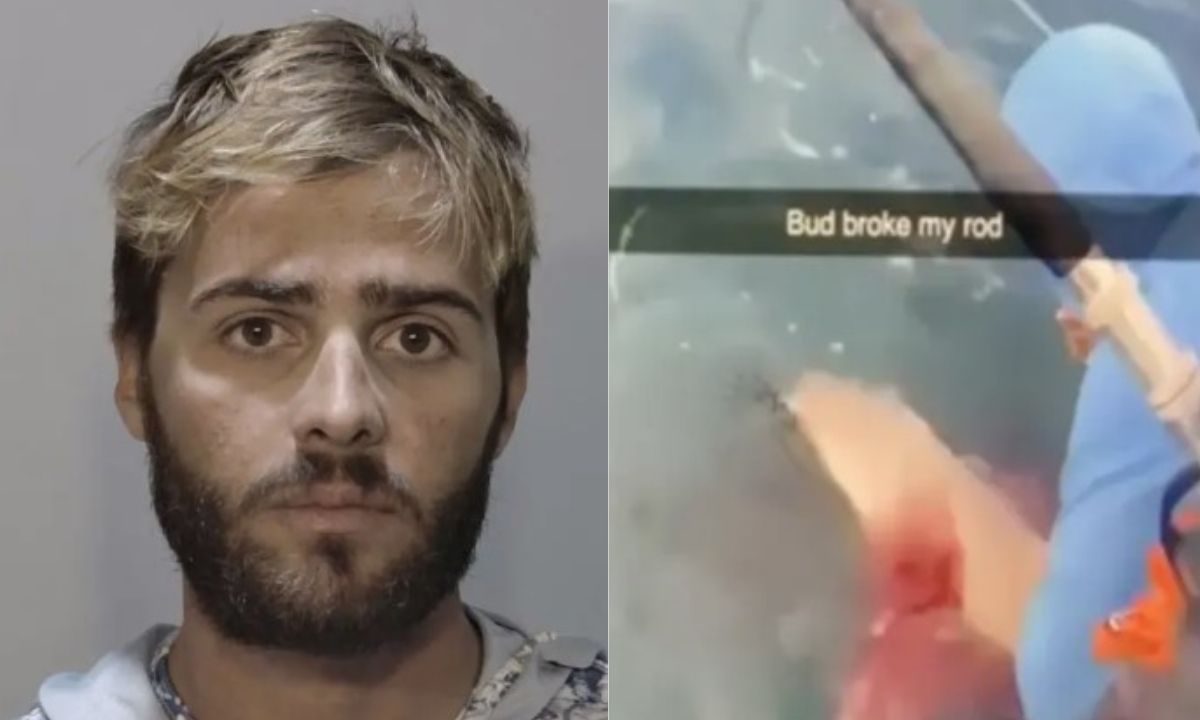 Pescador é preso por esfaquear tubarão como ‘vingança’ após vídeo viralizar