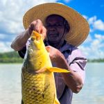 Peixe com mais de 1 metro é fisgado na Lagoa da Pampulha: ‘Nunca tinha visto’