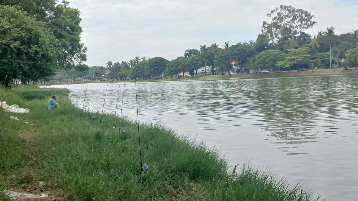 Consumir peixes da Lagoa da Pampulha, em Belo Horizonte, pode causar anemia e doença no fígado