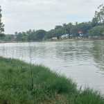 Consumir peixes da Lagoa da Pampulha, em Belo Horizonte, pode causar anemia e doença no fígado