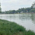 Consumir peixes da Lagoa da Pampulha, em Belo Horizonte, pode causar anemia e doença no fígado