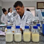 Pesquisa quer melhorar a qualidade do leite materno para bebês em UTIs