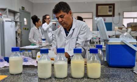 Pesquisadores do Instituto Cândido Tostes, da Epamig, e da Fiocruz buscam melhorar qualidade do leite humano para UTIs neonatais Foto Marcelo Ribeiro