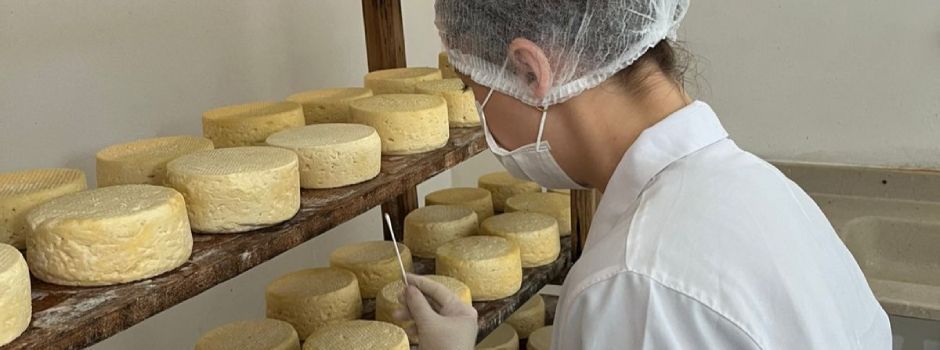 Estudo inédito vai mapear o 'DNA' do Queijo Minas Artesanal do Serro