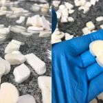 Pesquisadores brasileiros usam ossos de boi para criar enxerto para humanos