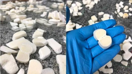 Pesquisadores brasileiros usam ossos de boi para criar enxerto para humanos.