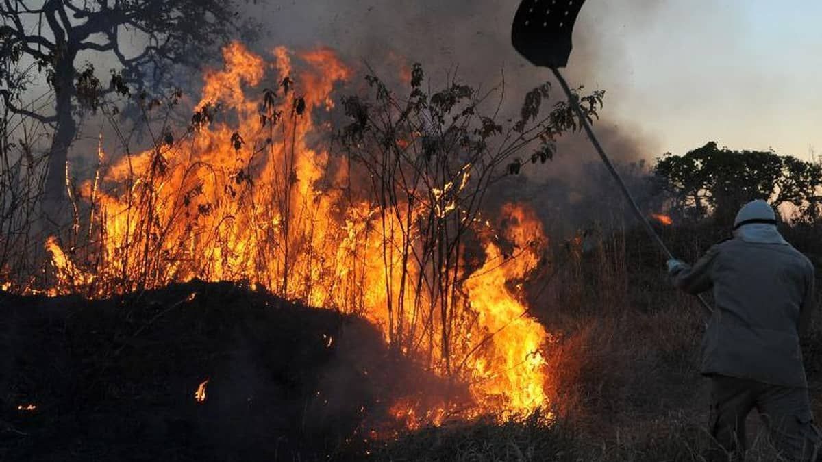 Pesquisadores da UFMG desenvolvem inédito sistema de prevenção e propagação de incêndios no cerrado