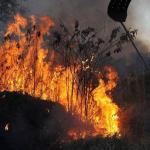 Pesquisadores da UFMG desenvolvem inédito sistema de prevenção e propagação de incêndios no cerrado
