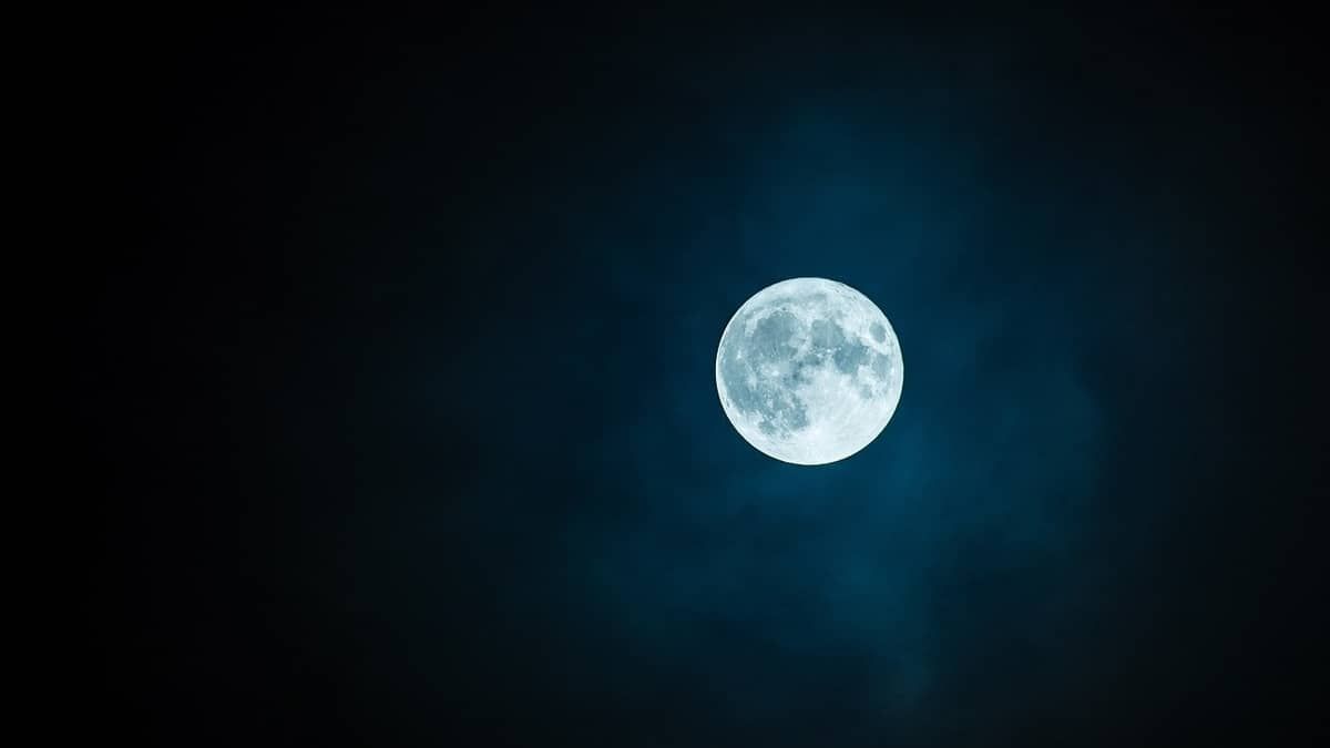 Lua pode ter seres vivos vindos da Terra