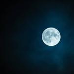 Lua pode ter seres vivos vindos da Terra