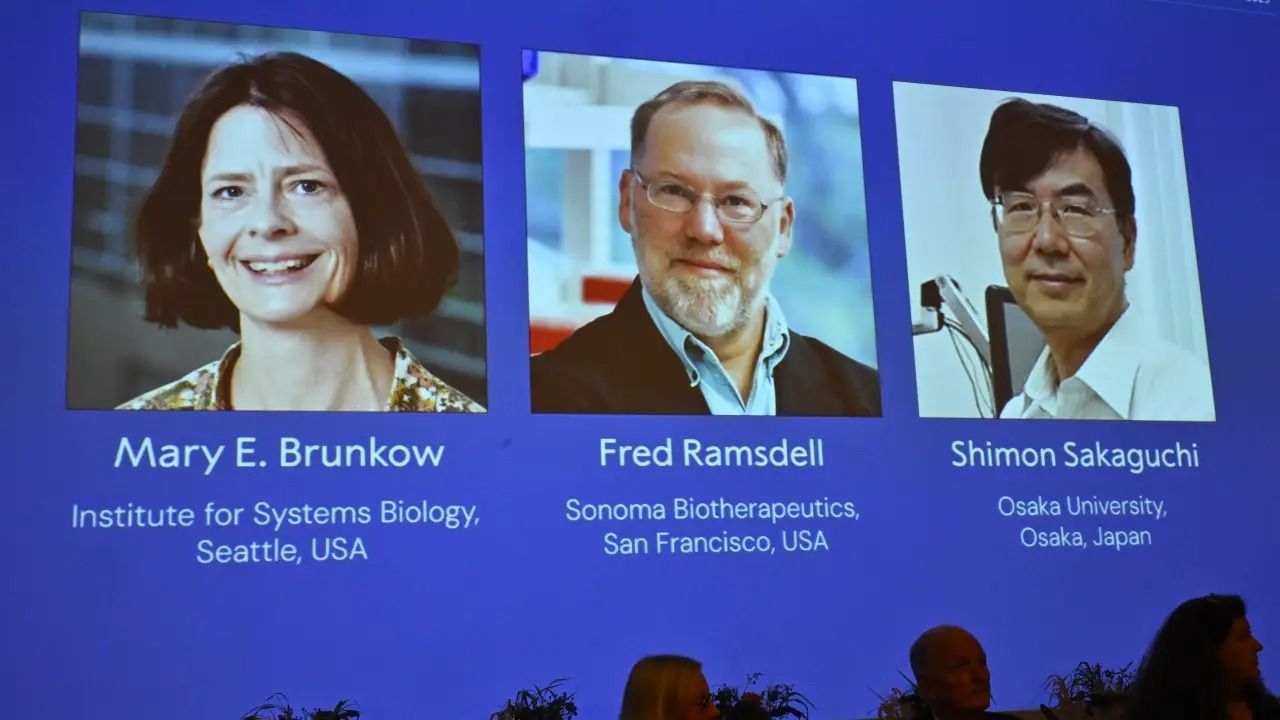 Pesquisas sobre tolerância imunológica periférica rendem Nobel de Medicina a trio dos EUA