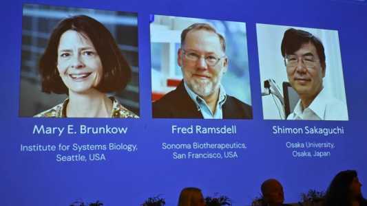 Mary E Brunkow, Fred Ramsdell e Shimon Sakaguchi são exibidos durante uma coletiva de imprensa onde os vencedores do Prêmio Nobel de Fisiologia ou Medicina de 2025.