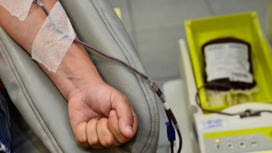 Pessoas saudáveis acima dos 16 anos podem doar sangue
