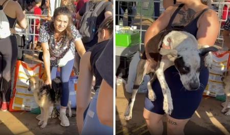 Fotos mostram voluntários atuando no Rio Grande do Sul