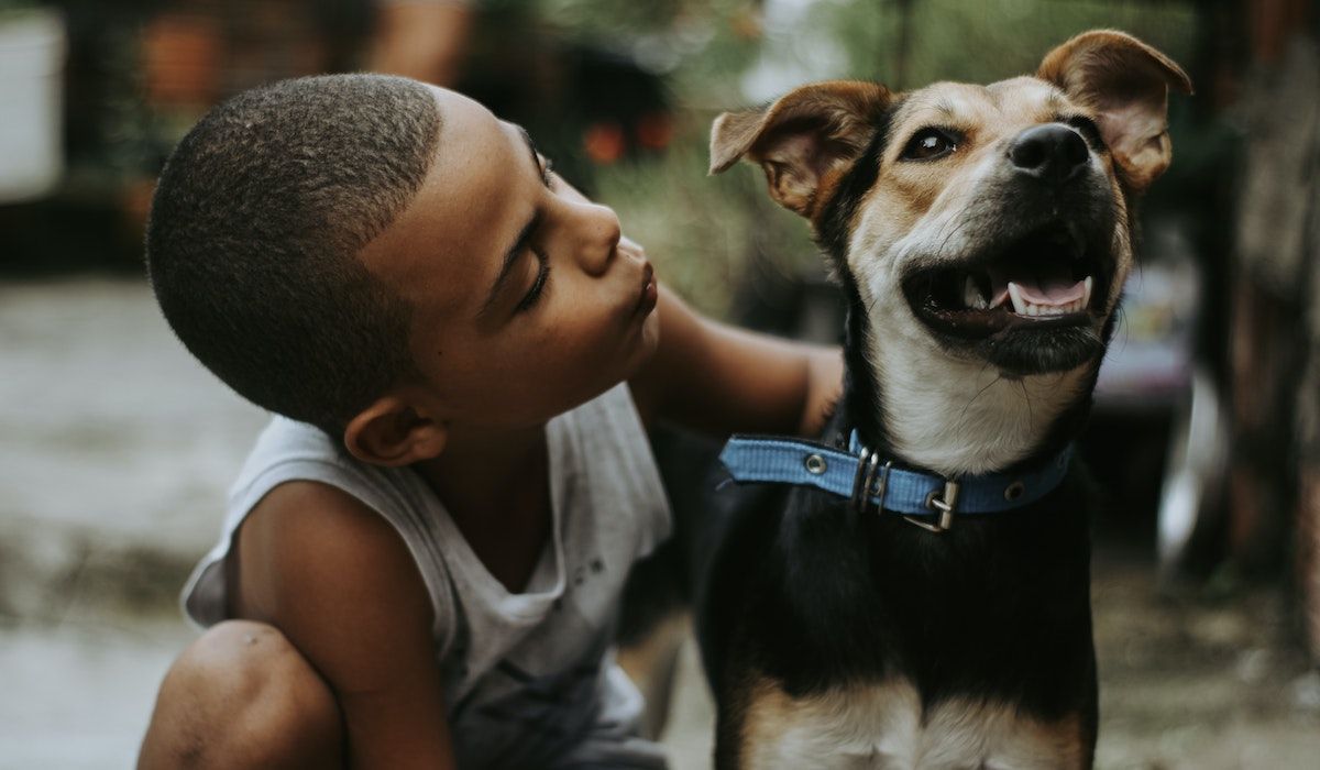 Apresentar pets e crianças deve ser uma tarefa gradual e cuidadosa