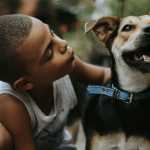 Apresentar pets e crianças deve ser uma tarefa gradual e cuidadosa