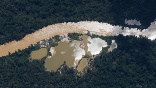 PF começou ação contra garimpo ilegal em terras yanomami