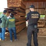 PF faz operação para retirar invasores da Terra Indígena Karipuna, em Rondônia