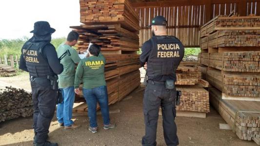 PF faz operação para retirar invasores da Terra Indígena Karipuna, em Rondônia.
