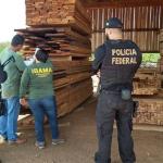 PF faz operação para retirar invasores da Terra Indígena Karipuna, em Rondônia