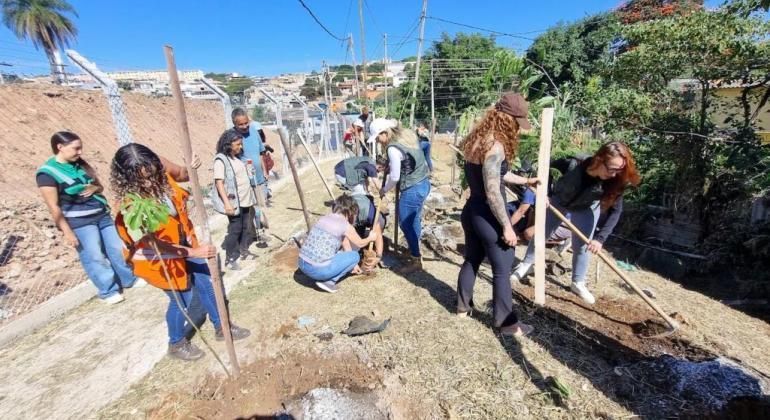 Prefeitura de BH planta mais de 180 mudas de árvores em antigo depósito de lixo no Barreiro