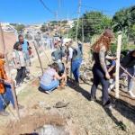 Prefeitura de BH planta mais de 180 mudas de árvores em antigo depósito de lixo no Barreiro