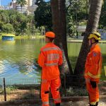 Homem pula e se afoga em lago no Parque Municipal de BH