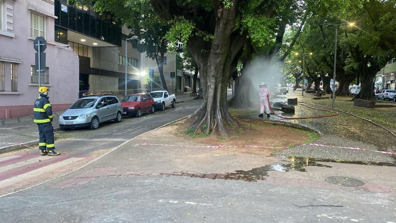 Após ataque de abelhas em bloco, bombeiros voltam a isolar rua do bairro Funcionários, em BH