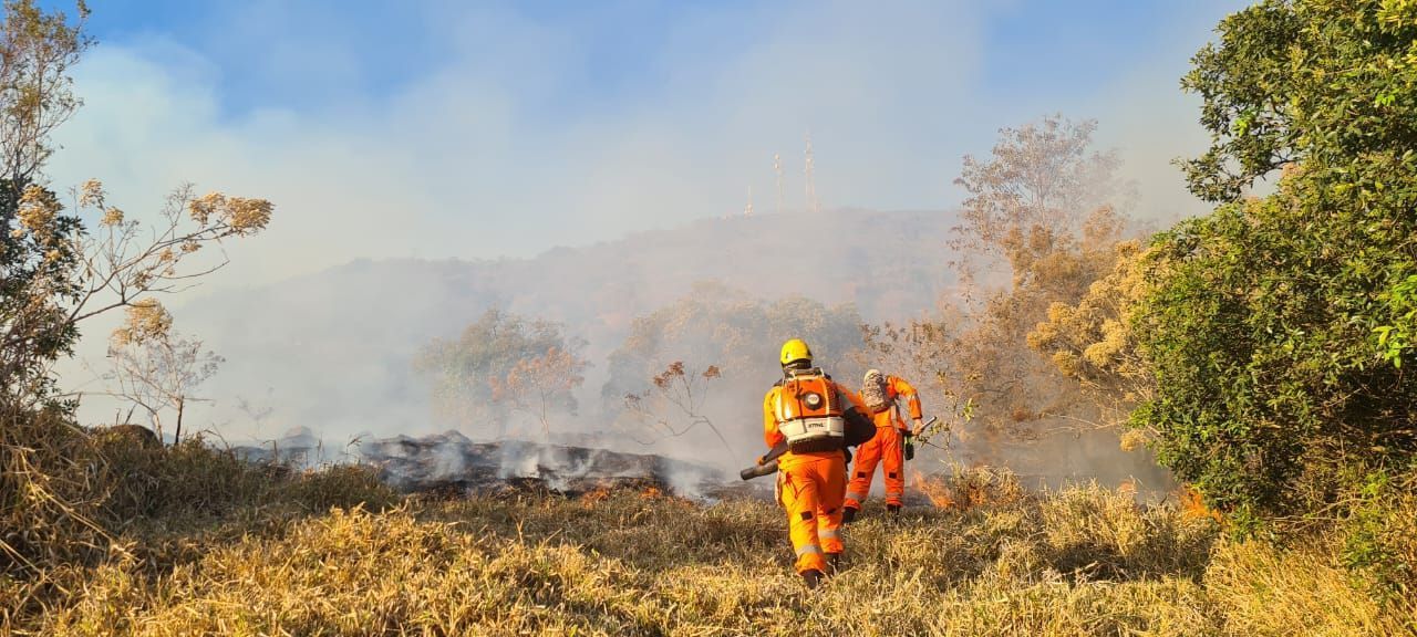 Queimadas se alastram e Minas registra quase 1300 incêndios em vegetações no final de semana
