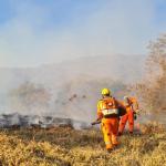 Queimadas se alastram e Minas registra quase 1300 incêndios em vegetações no final de semana
