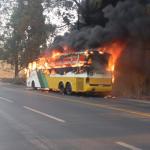 Mulher morre ao atear fogo no próprio corpo em ônibus da Gontijo na BR-381, na Grande BH